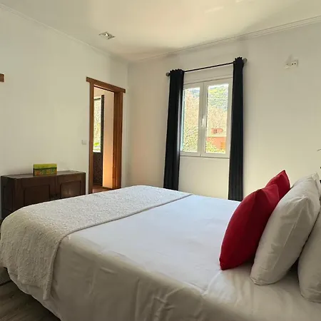 The Modern & Recycled House *