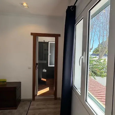 The Modern & Recycled House