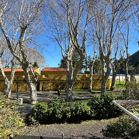 The Modern & Recycled House *