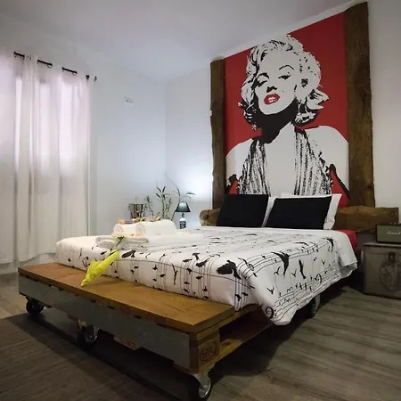 The Modern & Recycled House