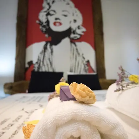 The Modern & Recycled House Lejlighed *