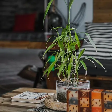 The Modern & Recycled House Appartement *