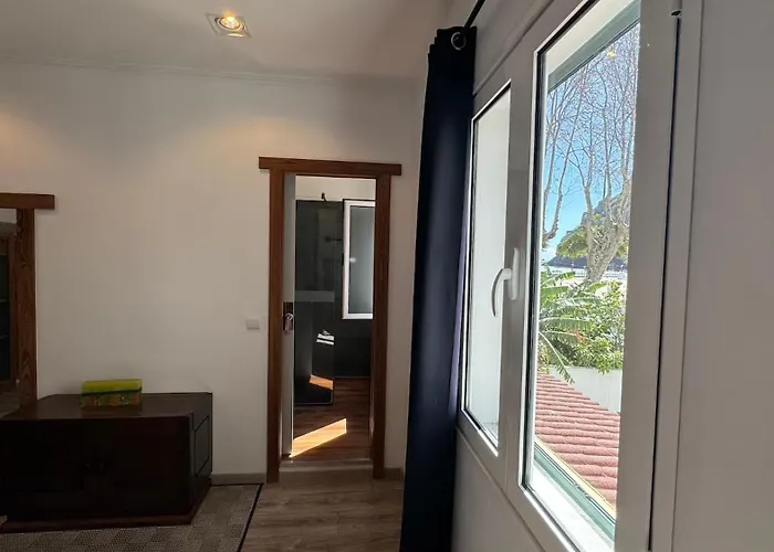 The Modern & Recycled House