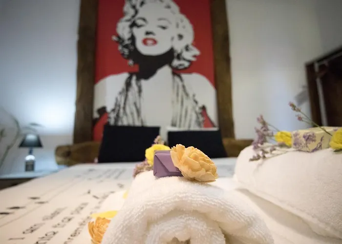 The Modern & Recycled House Appartement *