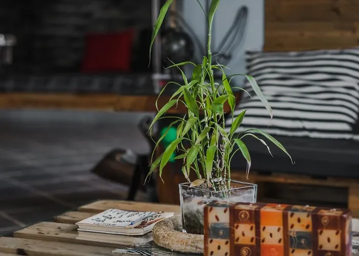 The Modern & Recycled House Appartement *